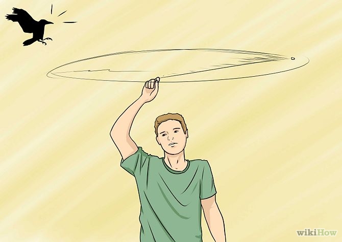 Image from wikihow.com