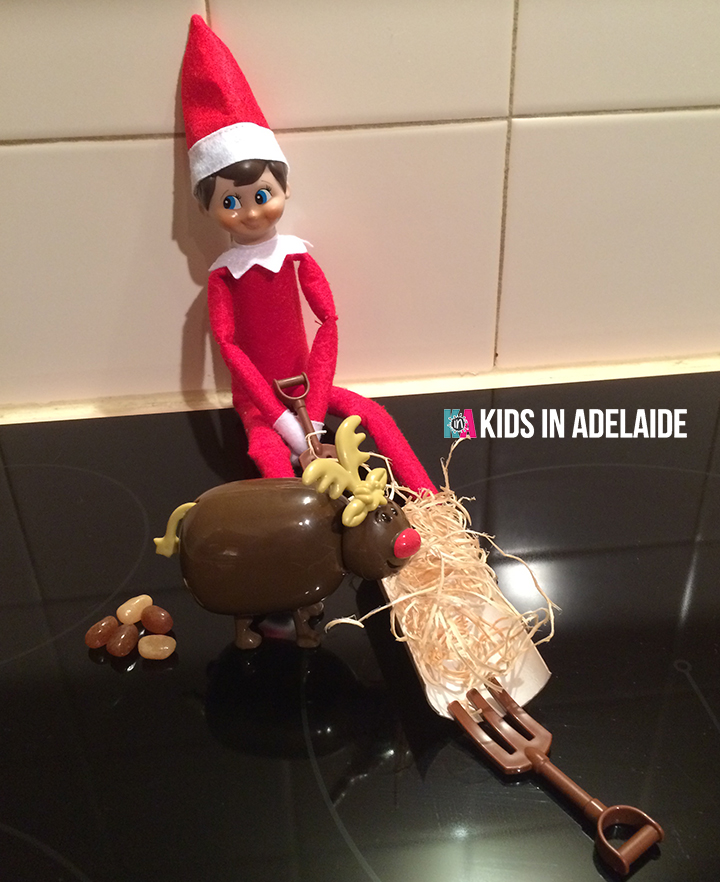 Kids in Adelaide Elf on the Shelf Feeding Time