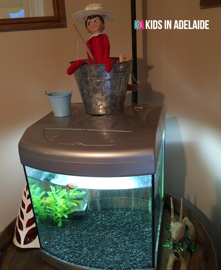 Kids in Adelaide Elf on the Shelf Gone Fishin