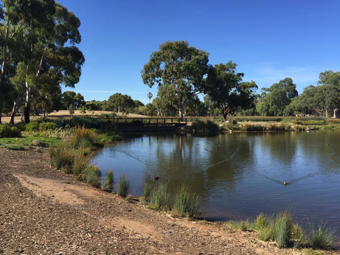 Oaklands Wetland - Kids In Adelaide