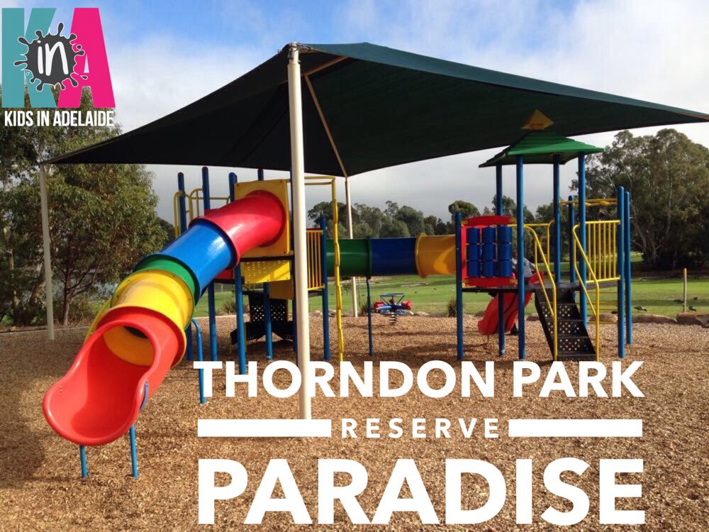 thorndon outdoor pool