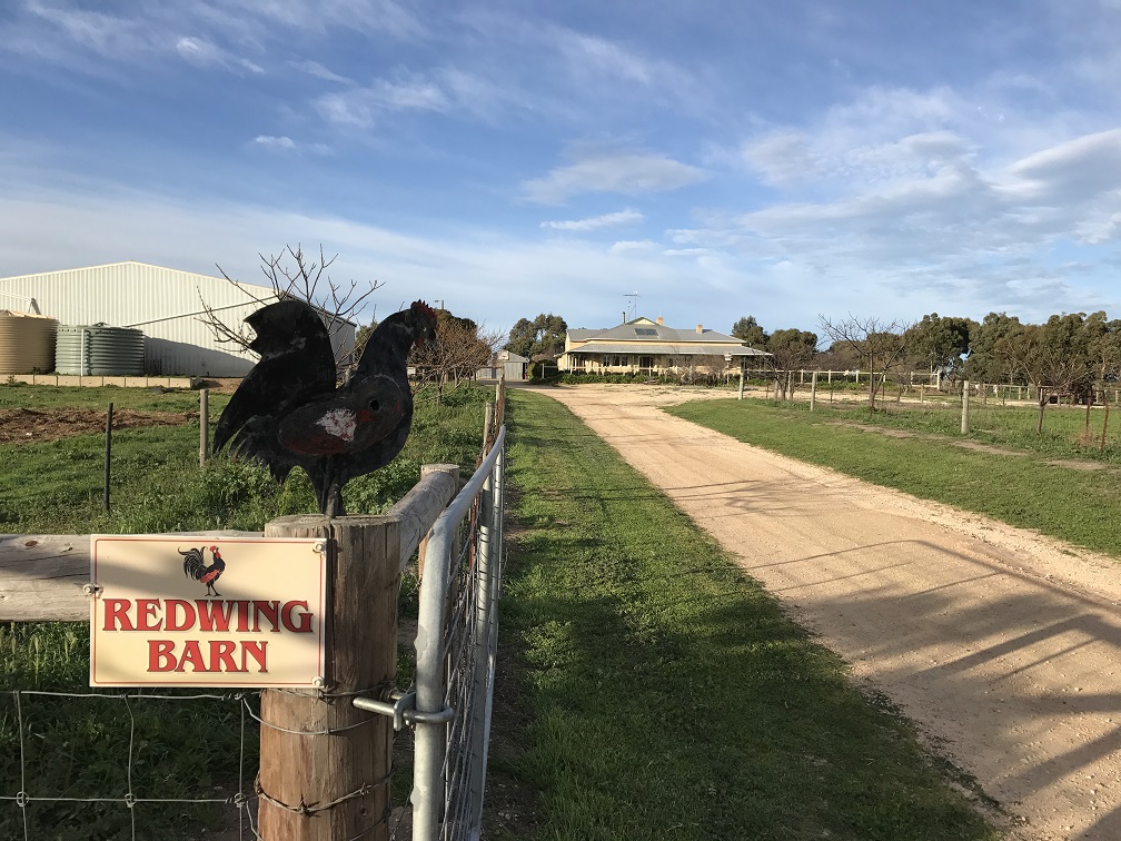 Redwing Farmstay Accomodation Moonta Yorke Peninsula Kids In