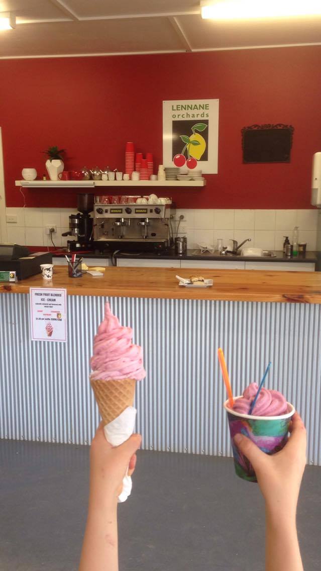 Cherry Picking Adelaide Visit Lennane Orchards 20 mins from CBD