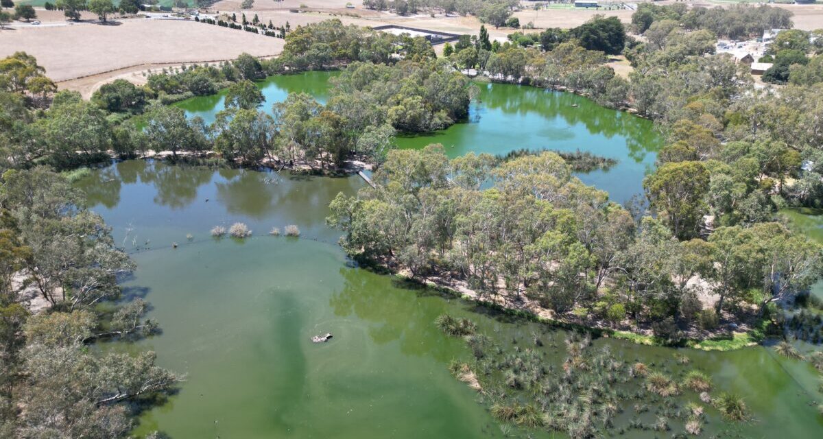 Laratinga Wetlands – Mt Barker