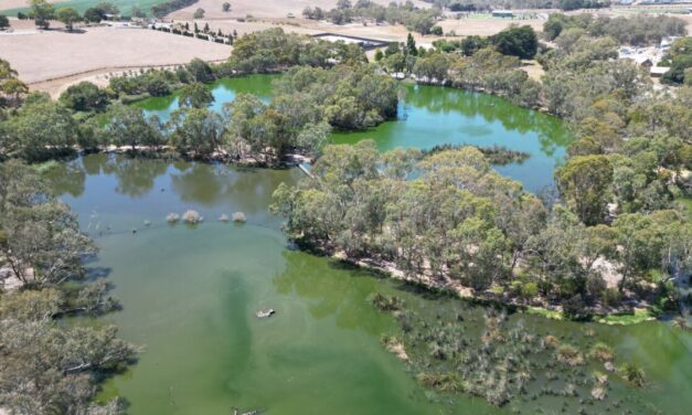 Laratinga Wetlands – Mt Barker