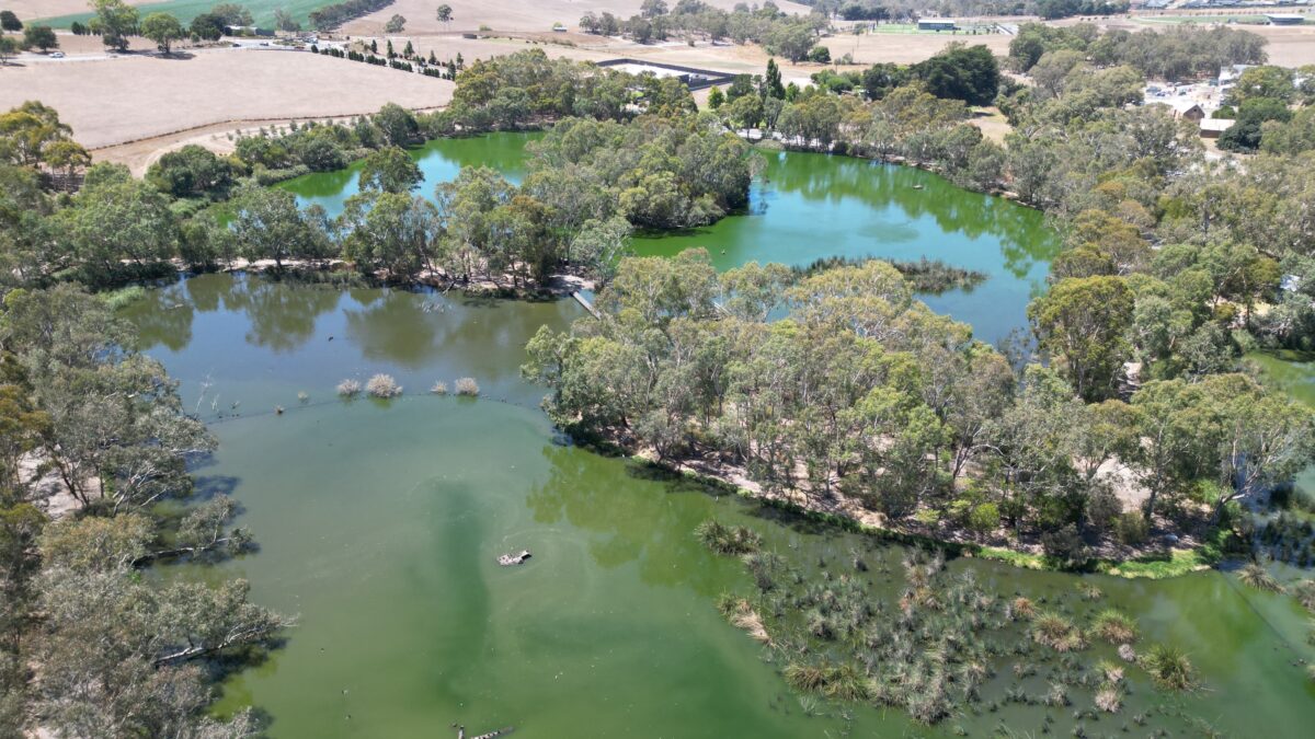 Laratinga Wetlands – Mt Barker