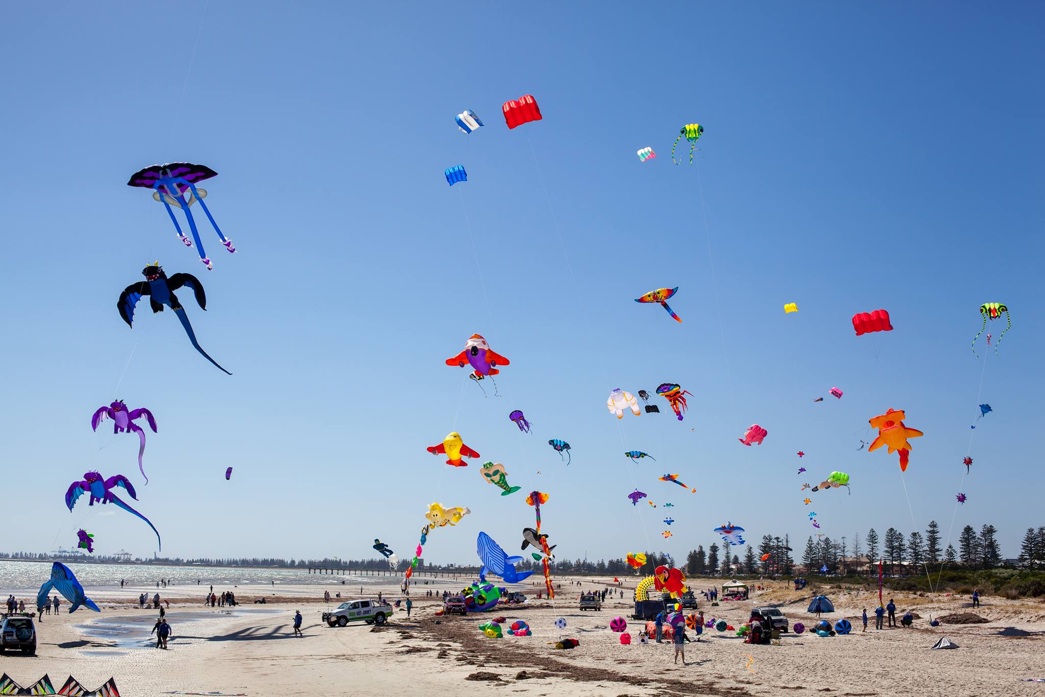 Adelaide Kite Flyers Association – Monthly Fly Day
