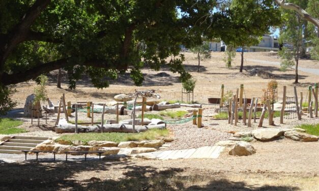 Oaktree Adventure Playground