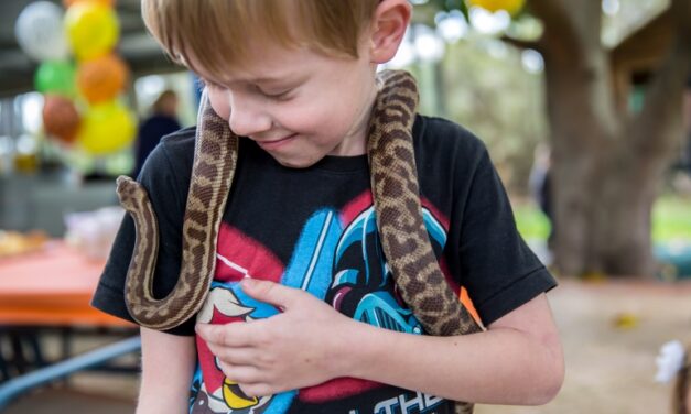 Host an Unforgettable Birthday Party at Warrawong Wildlife Sanctuary!