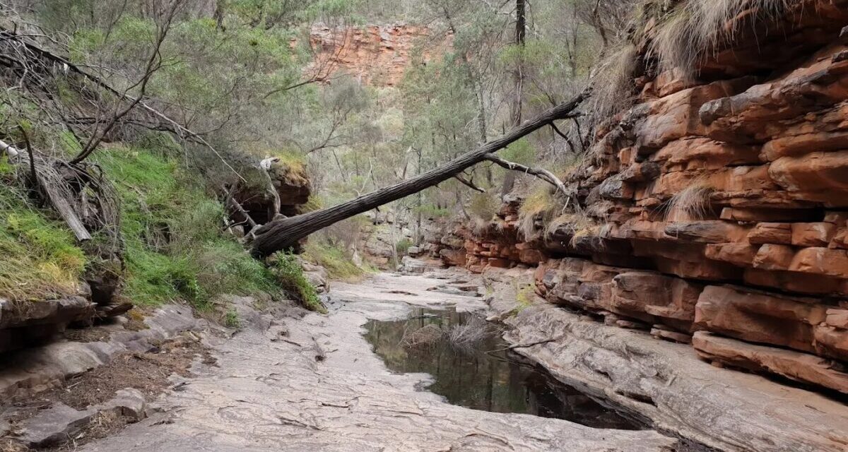 Mount Remarkable National Park