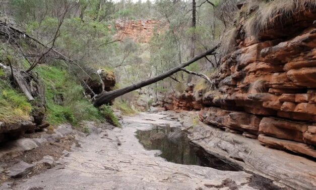Mount Remarkable National Park