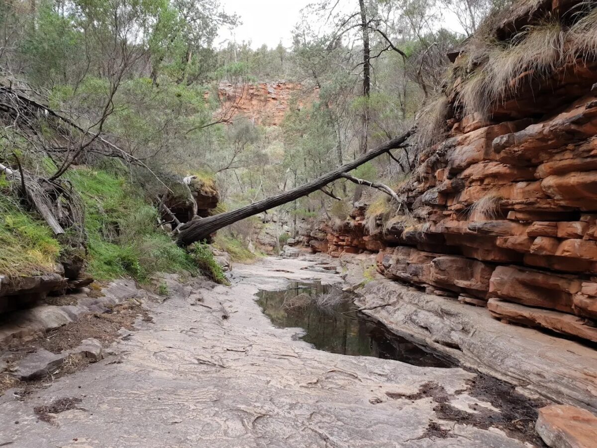 Mount Remarkable National Park