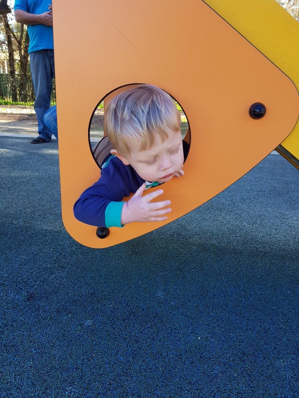 Forestville Reserve Kids In Adelaide Activities, Events & Things to do in Adelaide with Kids