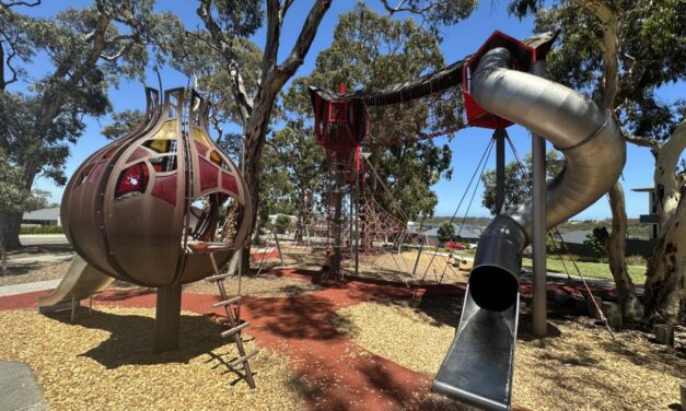 Blackwood Park Treetops Playground