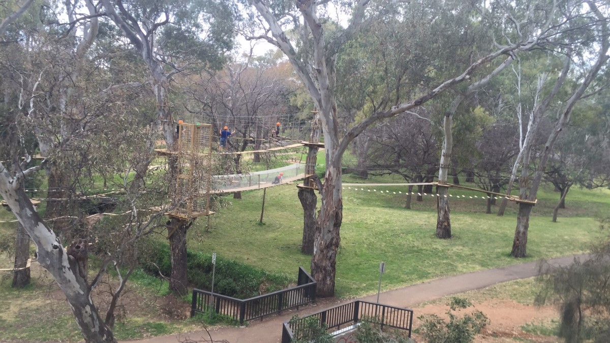 TreeClimb kids course