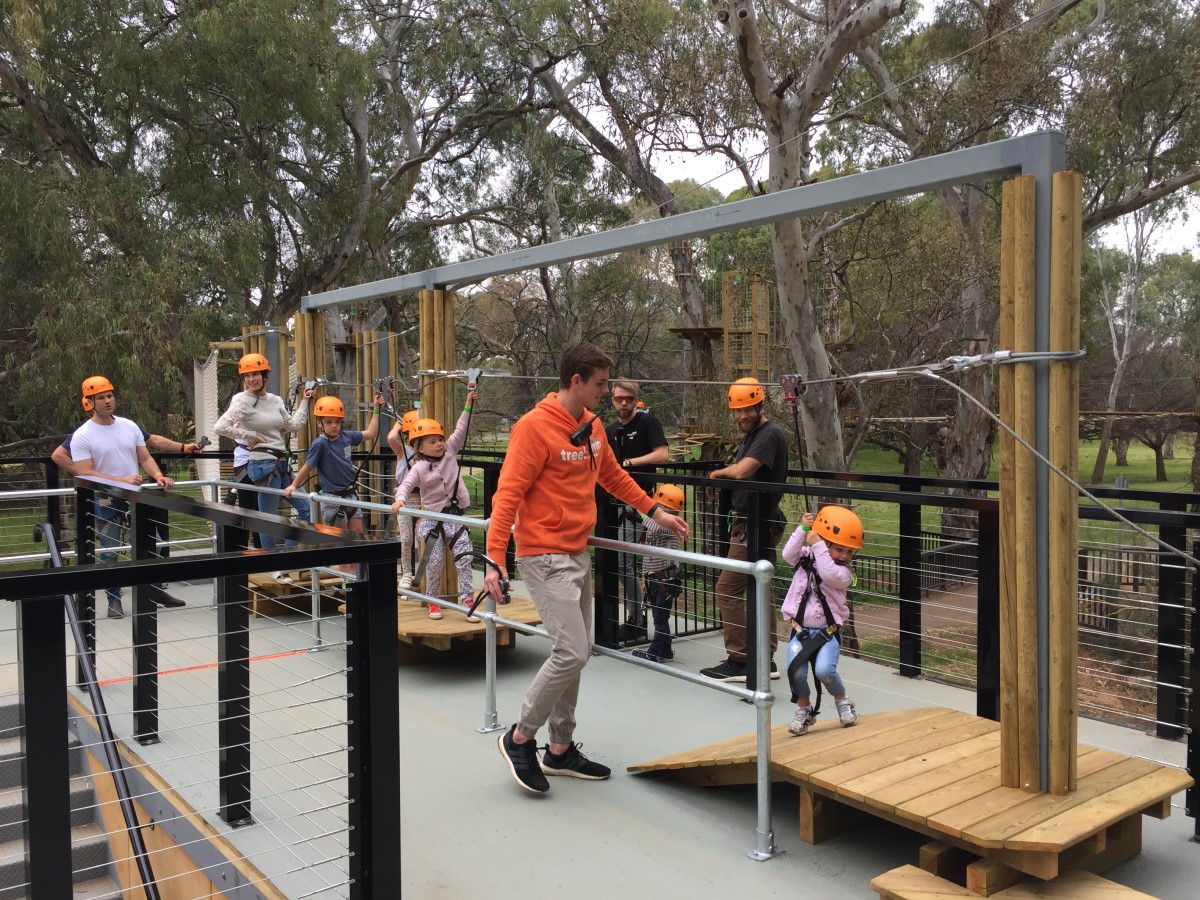 TreeClimb, South Parklands Adelaide Kids In Adelaide