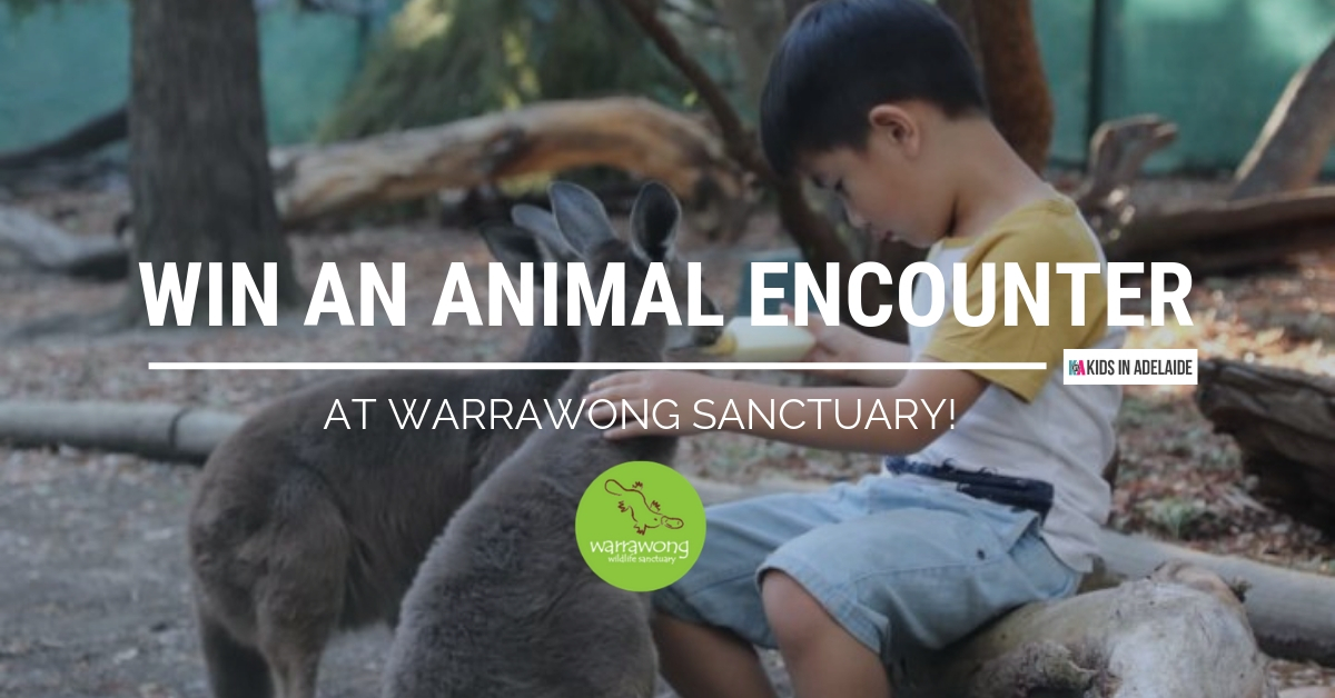 WIN an Animal Encounter at Warrawong Sanctuary