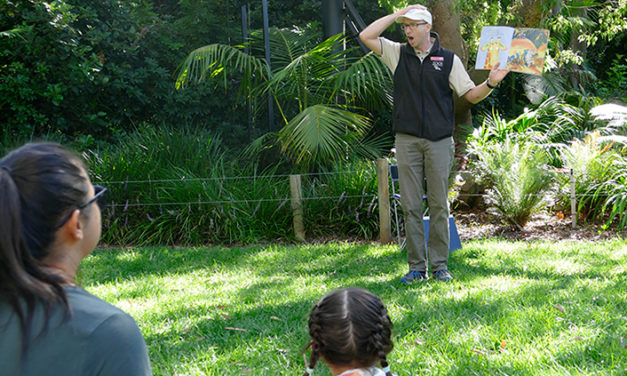 A to Zoo Storytime at Adelaide Zoo