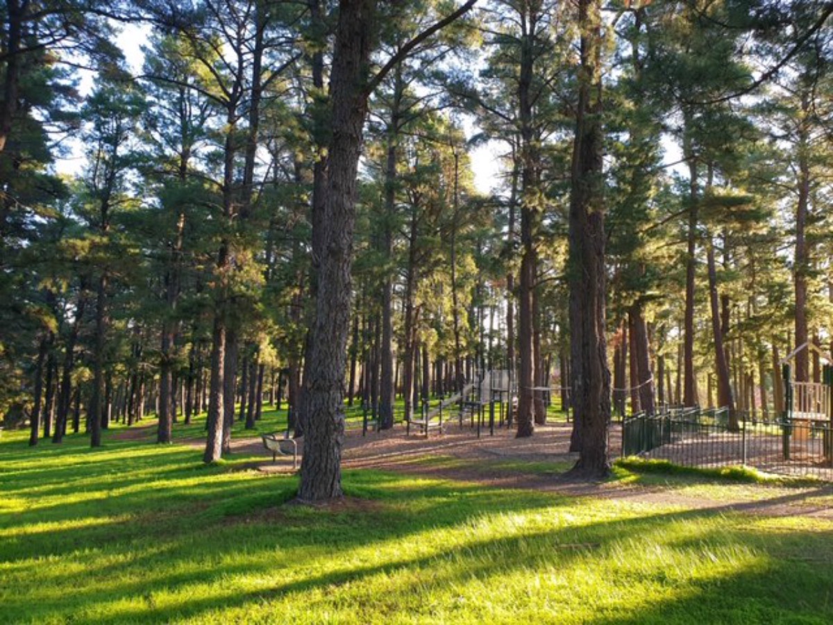 Pine Reserve Aberfoyle Park