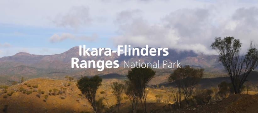 Ikara-Flinders Ranges