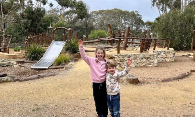 Naracoorte Caves Fossil Hunters Nature Playground