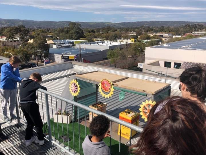 Roof Top Solar Beehive Tour