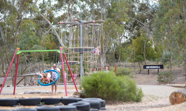 Richardson Park Playspace, Sevenhill (Clare)