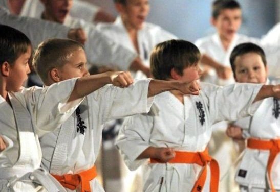 Kyokushin Kids Karate