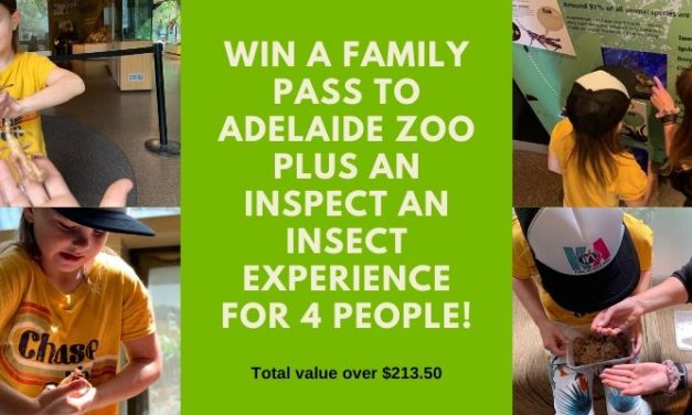 WIN a Family Pass to Adelaide Zoo PLUS an Inspect an Insect Experience for 4 people!