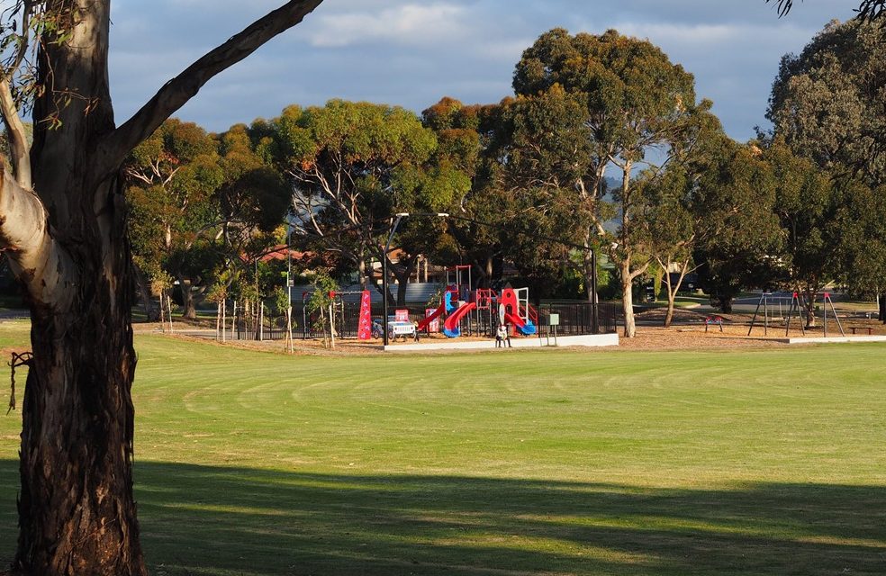 Hargrave Reserve Playground, Modbury Heights