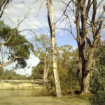 Camping Katarapko (Murray River National Park)