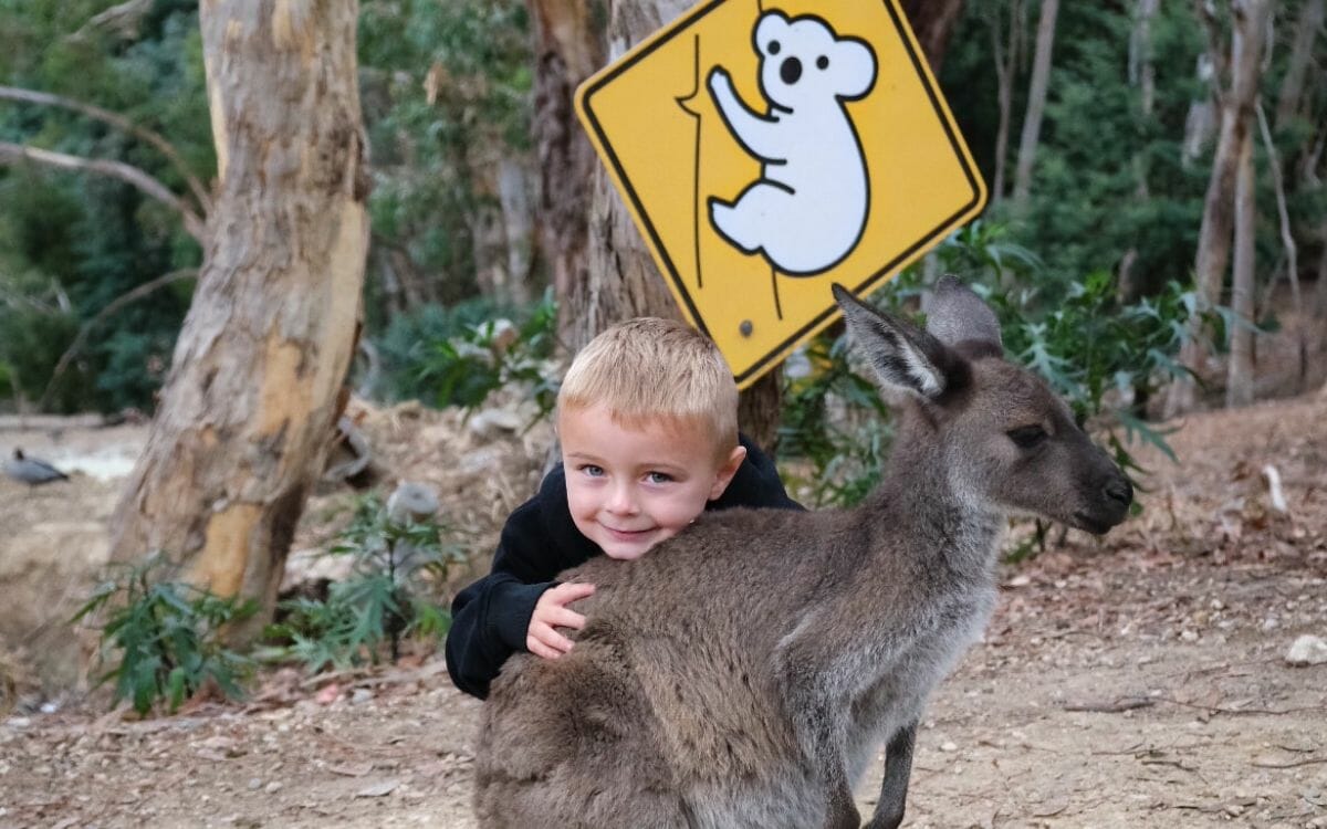 Warrawong Wildlife Sanctuary | Kids In Adelaide | Activities, Events ...