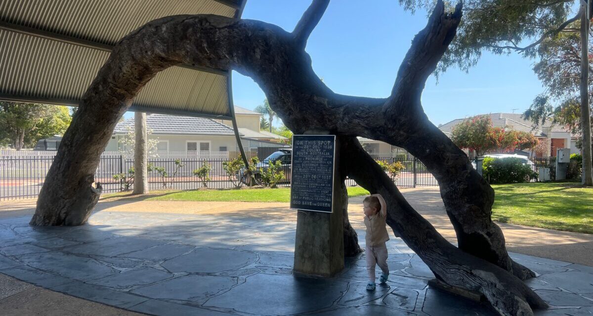 Old Gum Tree Reserve & Playground, Glenelg