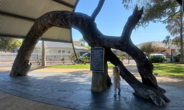 Old Gum Tree Reserve & Playground, Glenelg