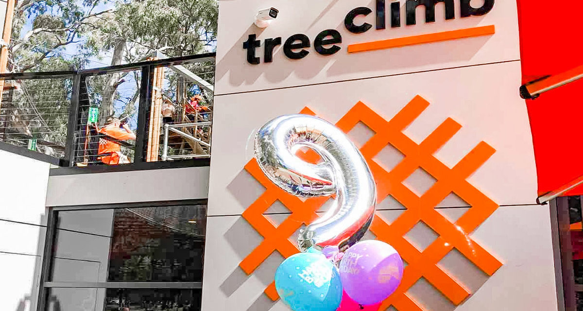 Birthday Parties at TreeClimb Adelaide and Kuitpo Forest are Sky High Outdoor fun!
