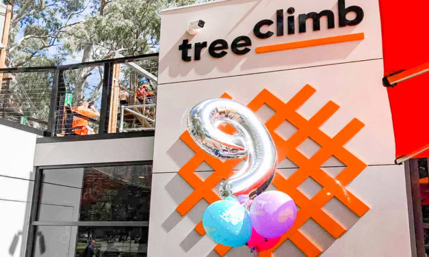 Birthday Parties at TreeClimb Adelaide are Sky High Outdoor fun!