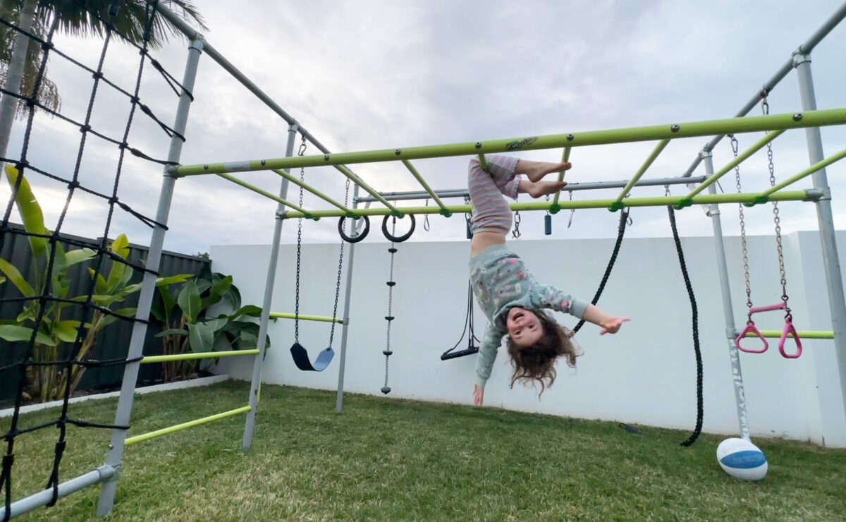 Classic Backyard Metal Monkey Bars Climber