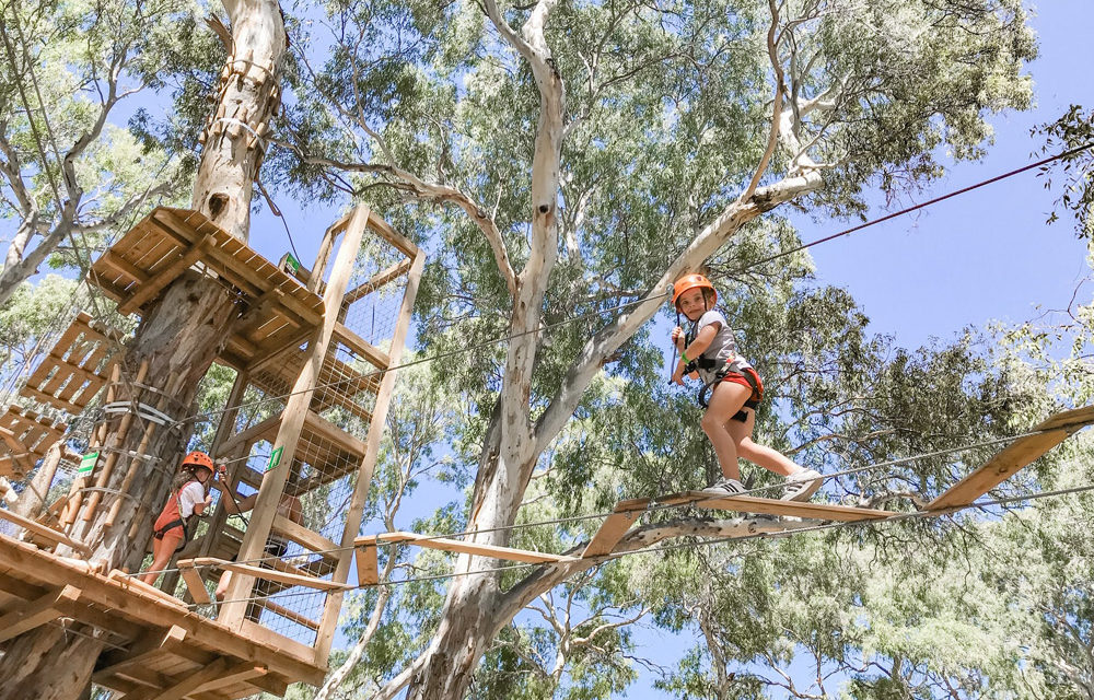 Treeclimb Adelaide Australias First Inner City Aerial Adventure Park In Adelaide Cbd