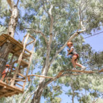 TreeClimb Adelaide