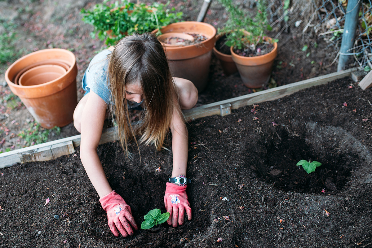 Veggie Gardening With Kids