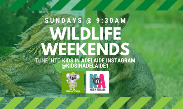 Wildlife Weekends