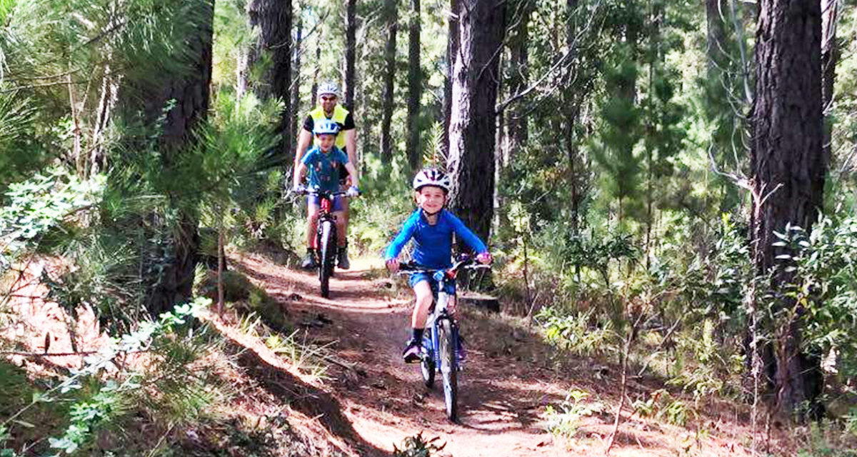 Kuitpo Forest Mountain Bike Park – Prospect Hill