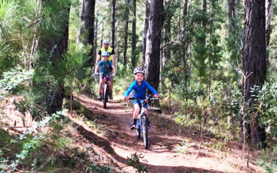 Kuitpo Forest Mountain Bike Park – Prospect Hill