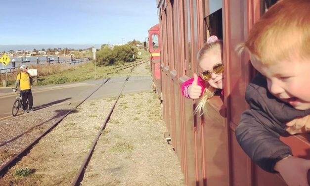 Toot Toot! All Aboard for an Adelaide Train Adventure!