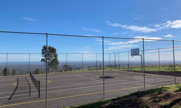 Yarrabee Road Reserve, Playground and Tennis Court, Greenhill