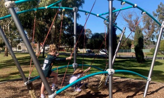 Flinders Park Playground
