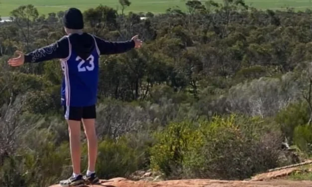 Mount Monster Conservation Park