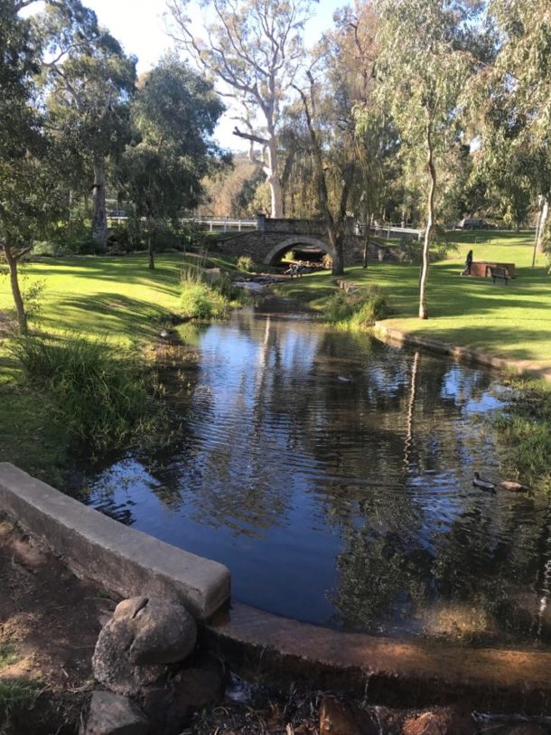 A picnic spot for every weekend in Spring Kids In Adelaide