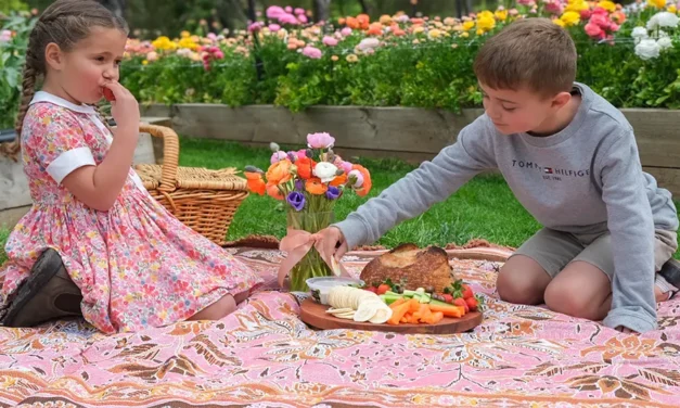 A Picnic Spot in Adelaide for every weekend in Spring