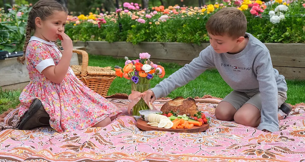A Picnic Spot in Adelaide for every weekend in Spring
